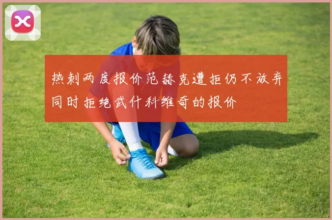 热刺两度报价范赫克遭拒仍不放弃同时拒绝武什科维奇的报价